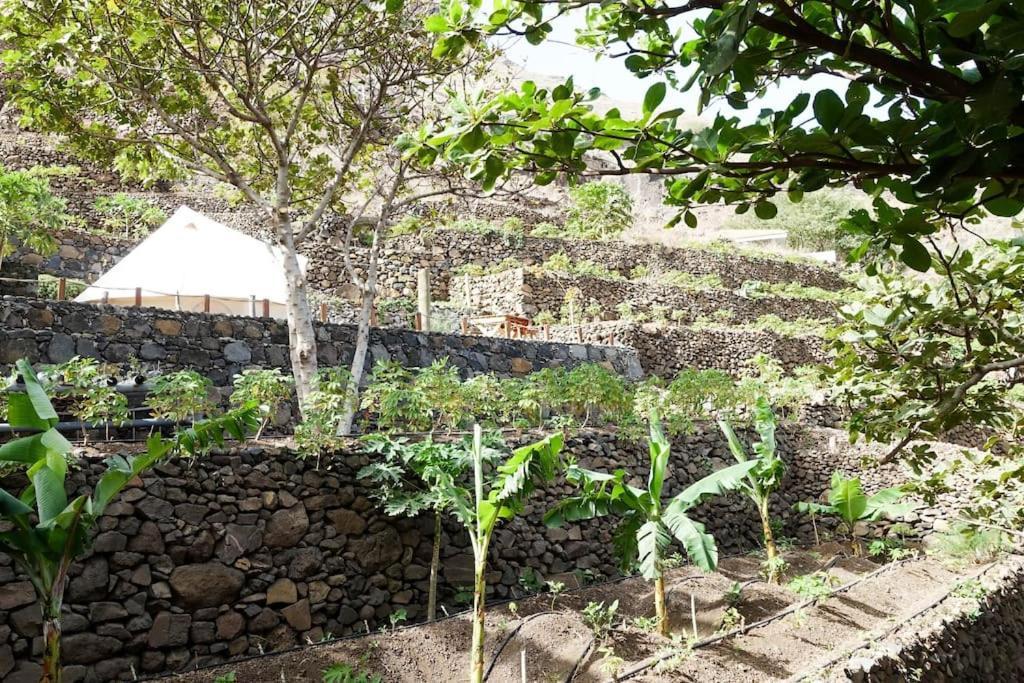 Chã da Igreja Ecolodge Kasa D'Igreja מראה חיצוני תמונה