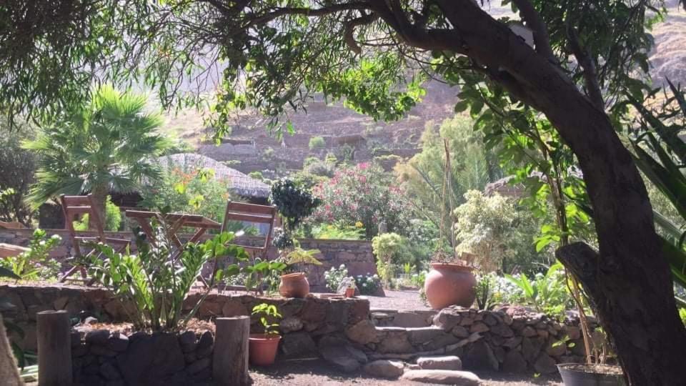 Chã da Igreja Ecolodge Kasa D'Igreja מראה חיצוני תמונה