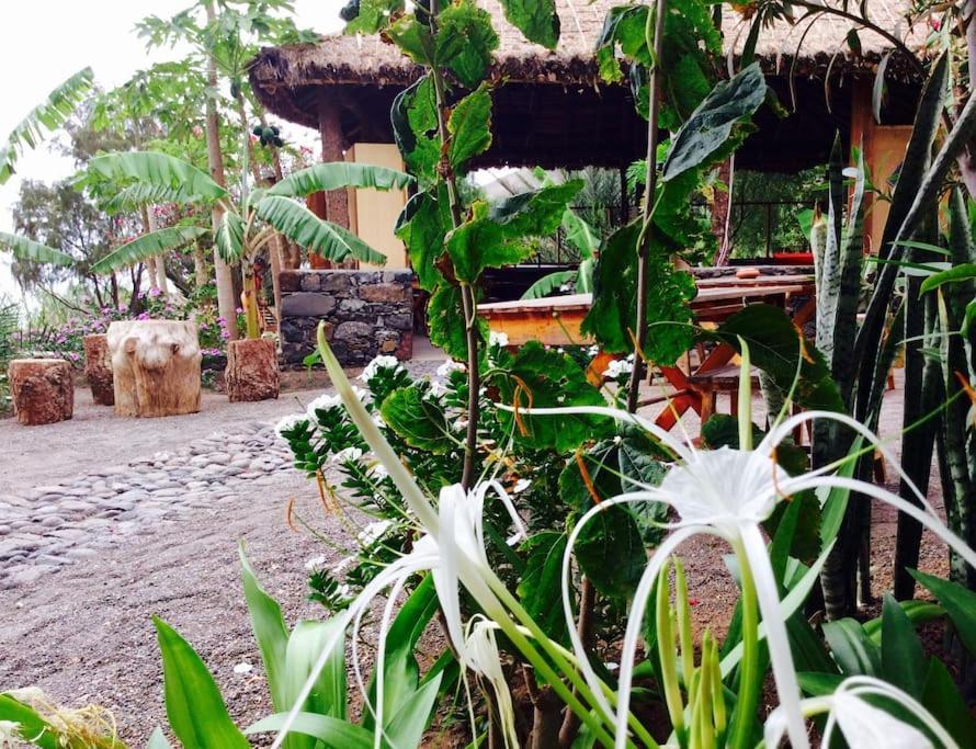 Chã da Igreja Ecolodge Kasa D'Igreja מראה חיצוני תמונה