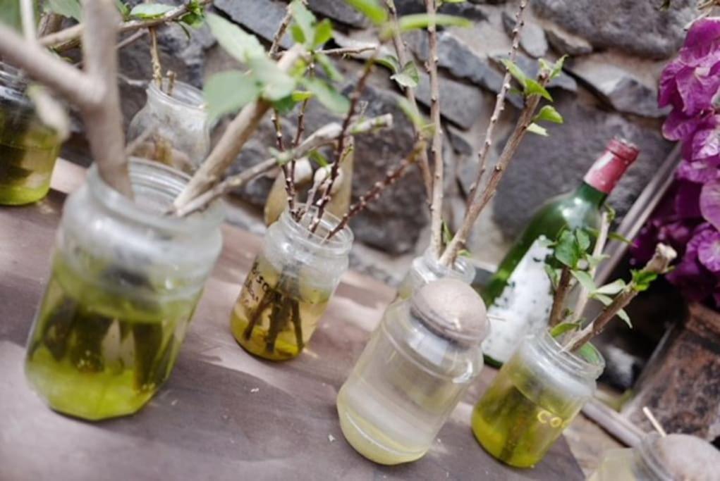 Chã da Igreja Ecolodge Kasa D'Igreja מראה חיצוני תמונה