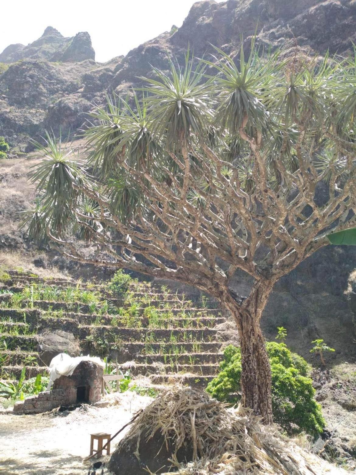 Chã da Igreja Ecolodge Kasa D'Igreja מראה חיצוני תמונה